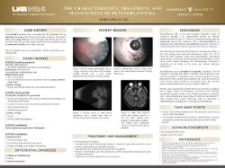 The Characteristics, Treatment, and Management of Retinoblastoma